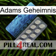 Adams Secret 34